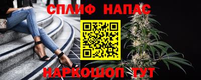 спиды Ставрополь